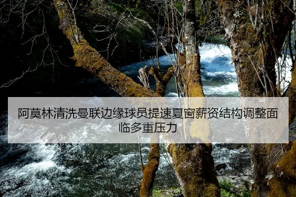 阿莫林清洗曼联边缘球员提速夏窗薪资结构调整面临多重压力