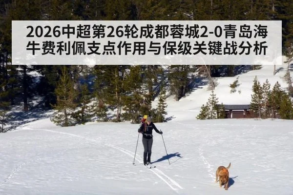 2026中超第26轮成都蓉城2-0青岛海牛费利佩支点作用与保级关键战分析